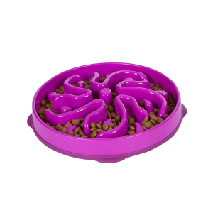 Fun Feeder Purple