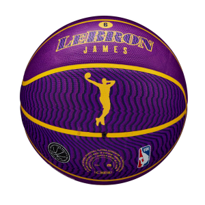 Wilson NBA Player Icon Outdoor Basketball - Purple / Yellow