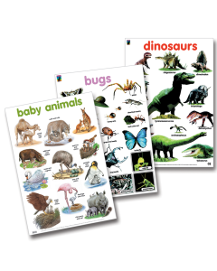 Educat wall chart 3 pack Animal Collection