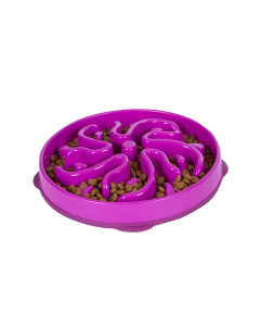 Fun Feeder Purple